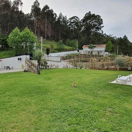 Quinta Da Tormenta -14 Pessoas- Cabeceiras De Basto 2 Casas E Piscina Privada Villa Dış mekan fotoğraf